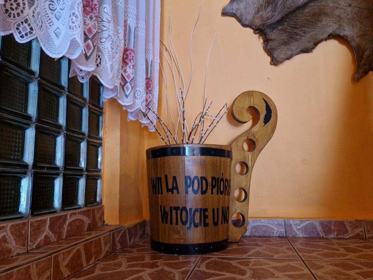 Willa Pod Piorem Закопане Екстер'єр фото